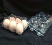 Khay đựng trứng gia cầm 03